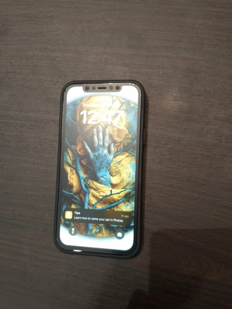 Apple iPhone 12 Pro 0