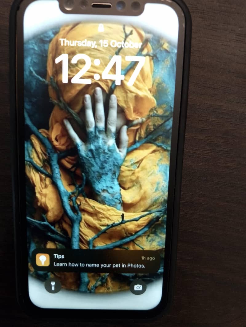 Apple iPhone 12 Pro 2