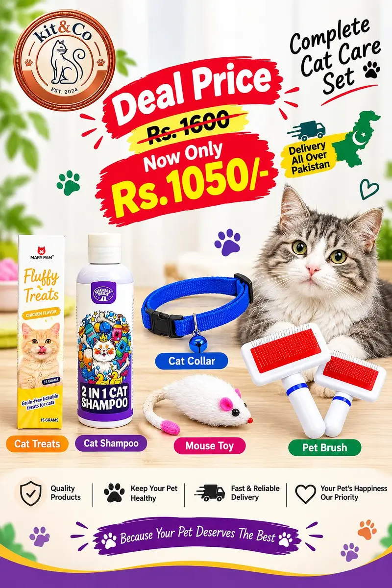 All in one accessories deal for your pets