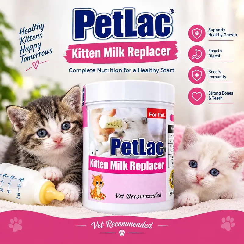 All in one accessories deal for your pets — photo 4