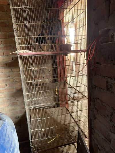 Cages