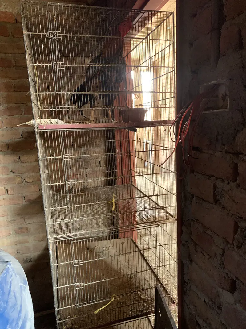 Cages — photo 2