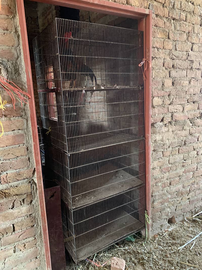 Cages 2