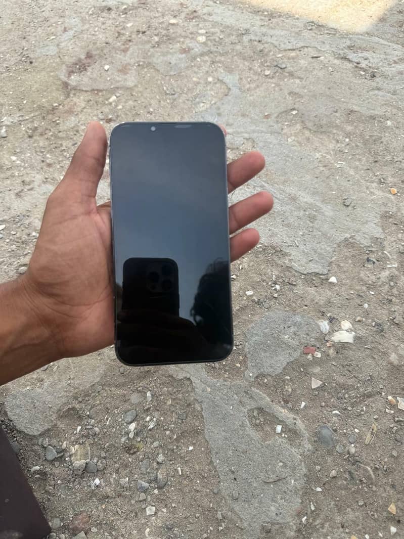 Apple iPhone 13 Pro Max 1