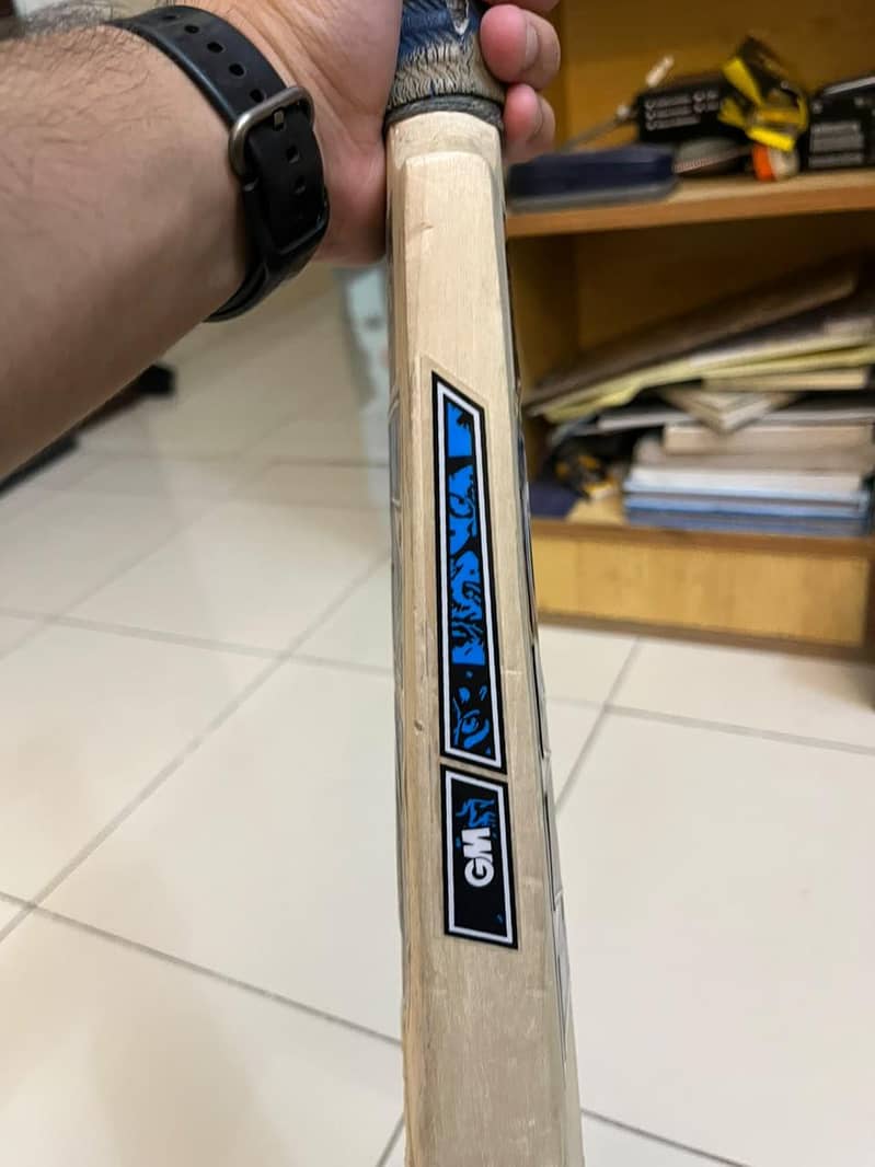 Cricket kit 17