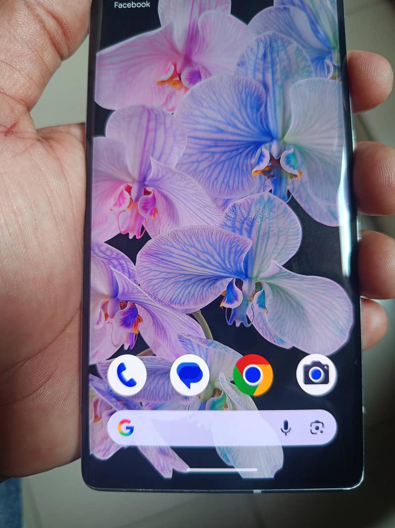 Google Pixel 6 Pro 5