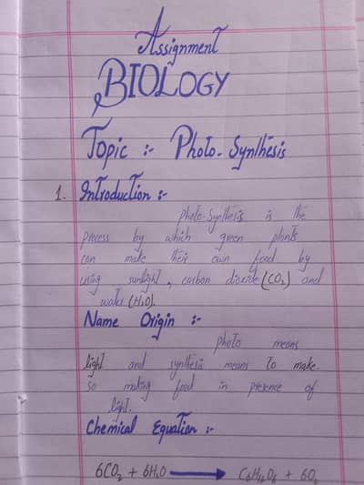 Handwritten assignment