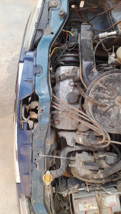 Used Alto for sale