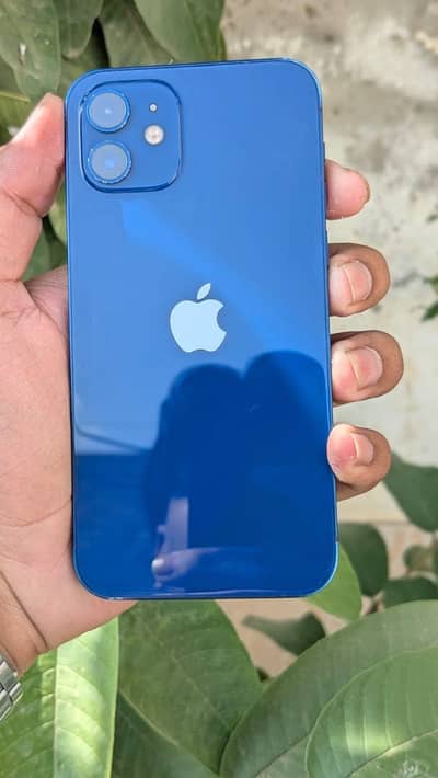 Apple iPhone 12