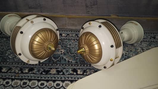 celling fan