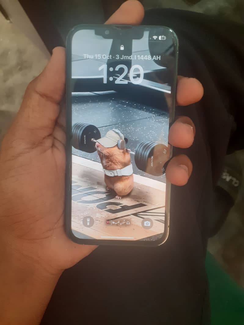 Apple iPhone 13 0