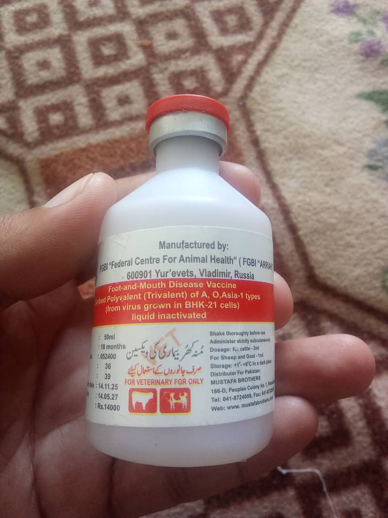 Injection RS 5000 1