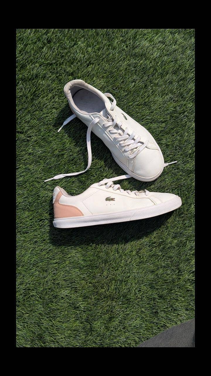 Lacoste 1