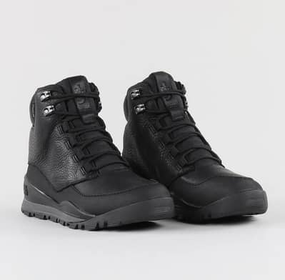 Northface shoes
