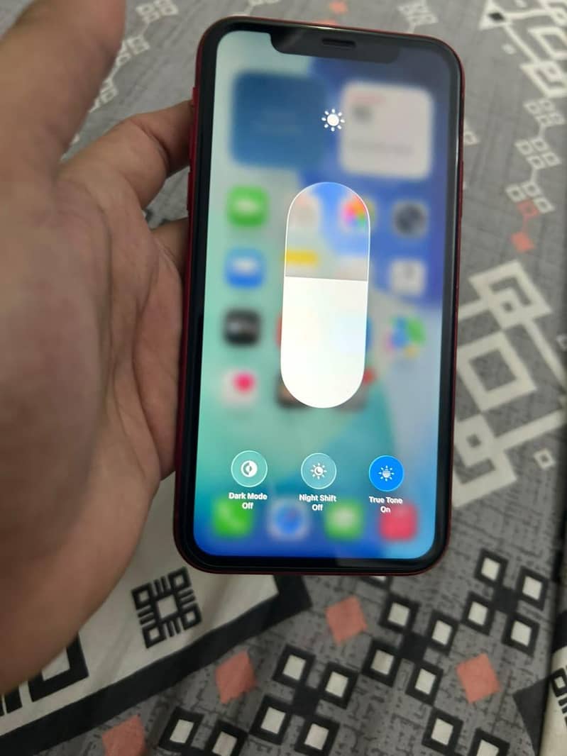 Apple iPhone 11 1