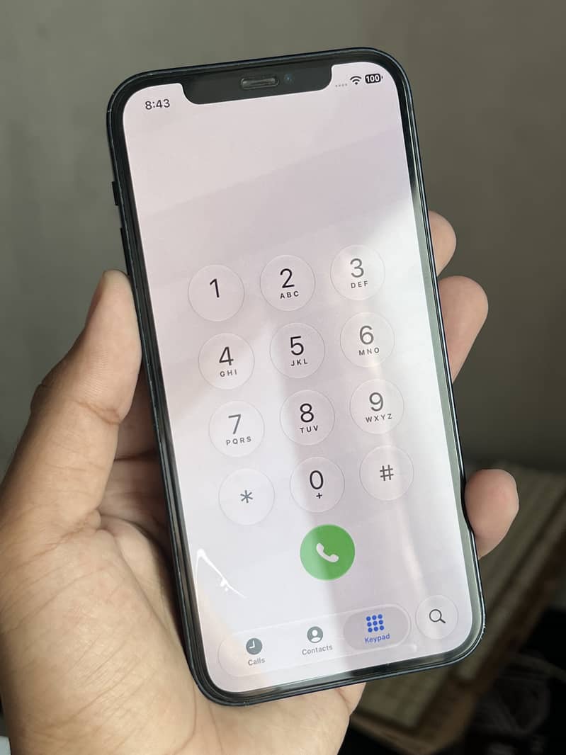Apple iPhone 12 1