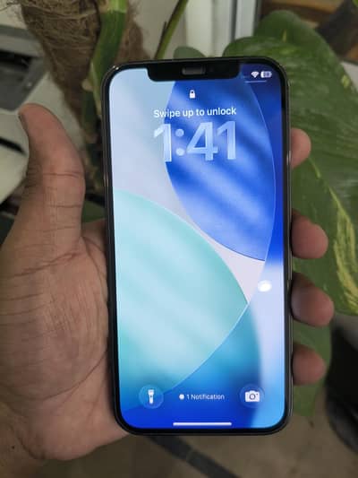 Apple iPhone 12 Pro