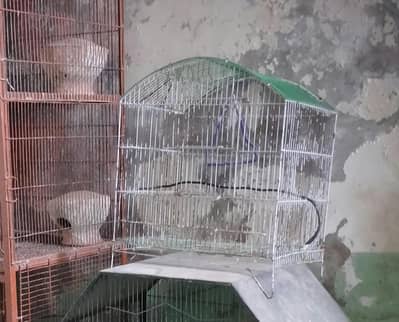 1 portion cage
