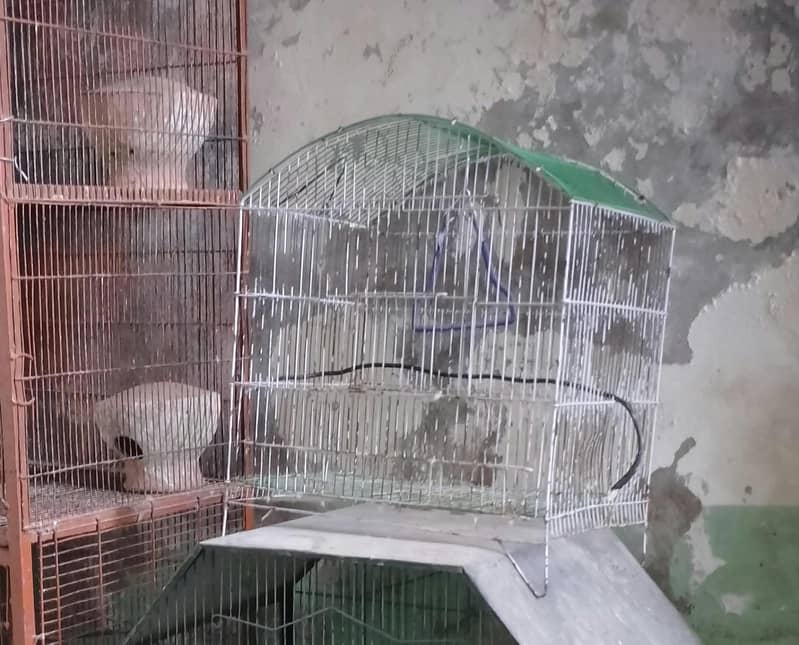1 portion cage 0