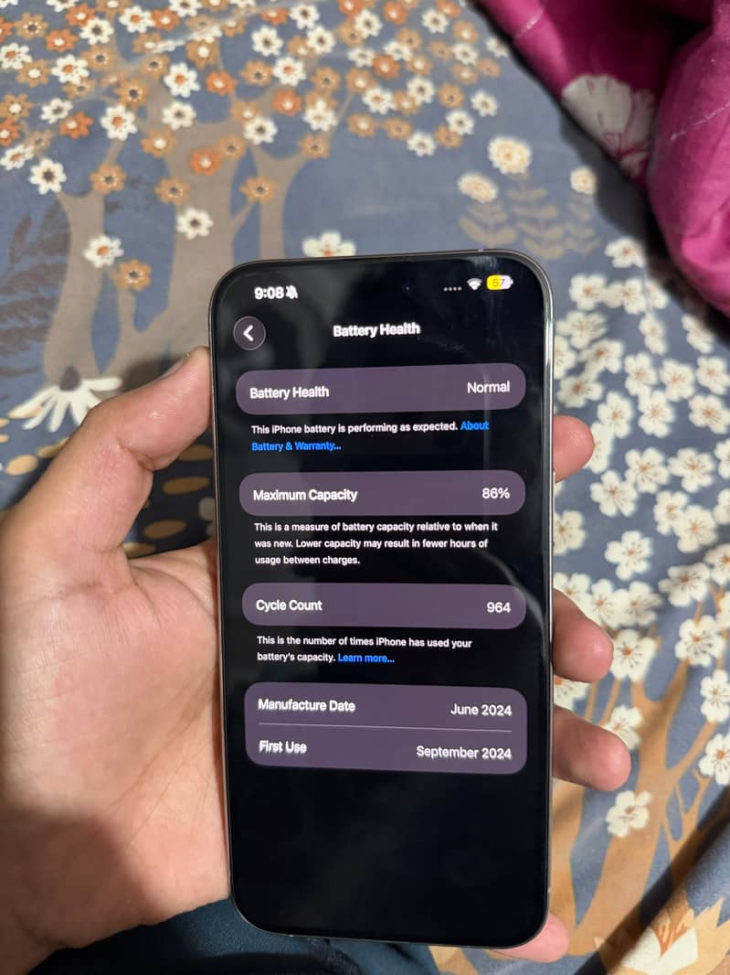 Apple iPhone 15 Pro Max 17