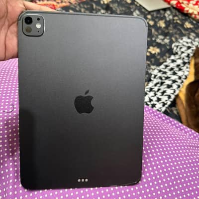 IPAD PRO M5 11' 256GB