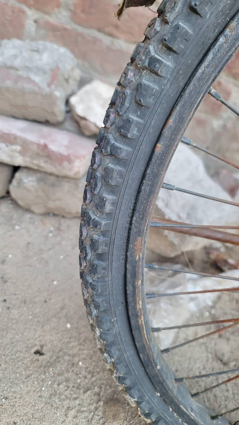 bicycle 2