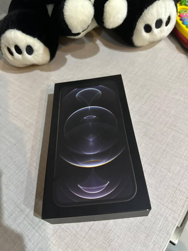 IPHONE 12 PRO MAX 2