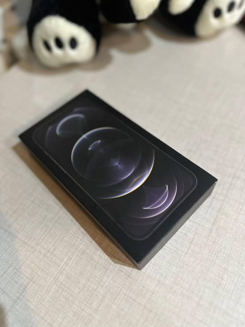 IPHONE 12 PRO MAX 3