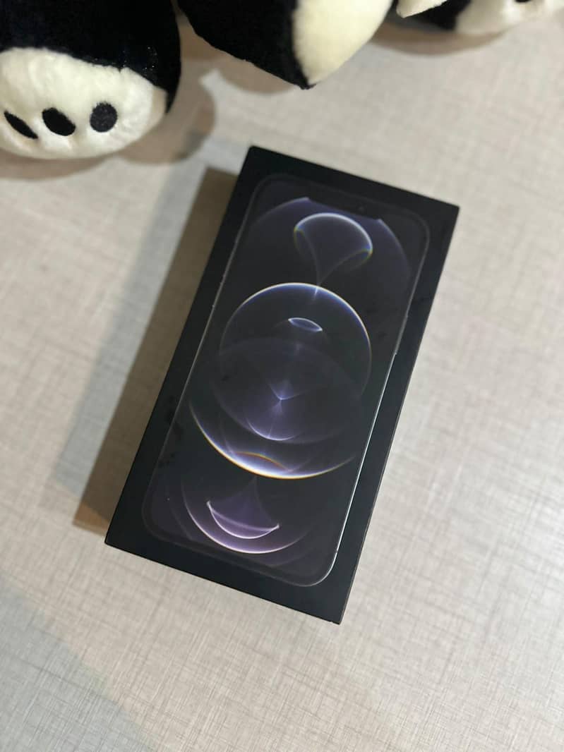 IPHONE 12 PRO MAX 5