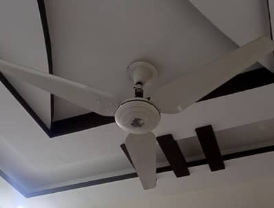 ceiling fan