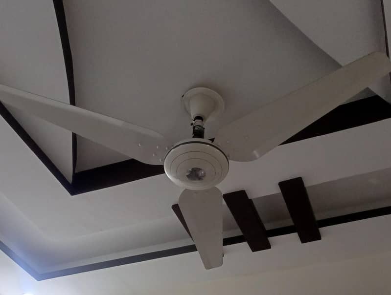 ceiling fan 0