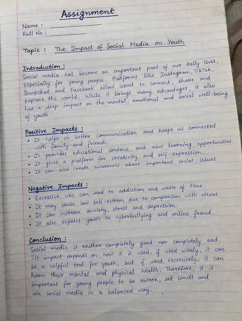 assignment writer 0