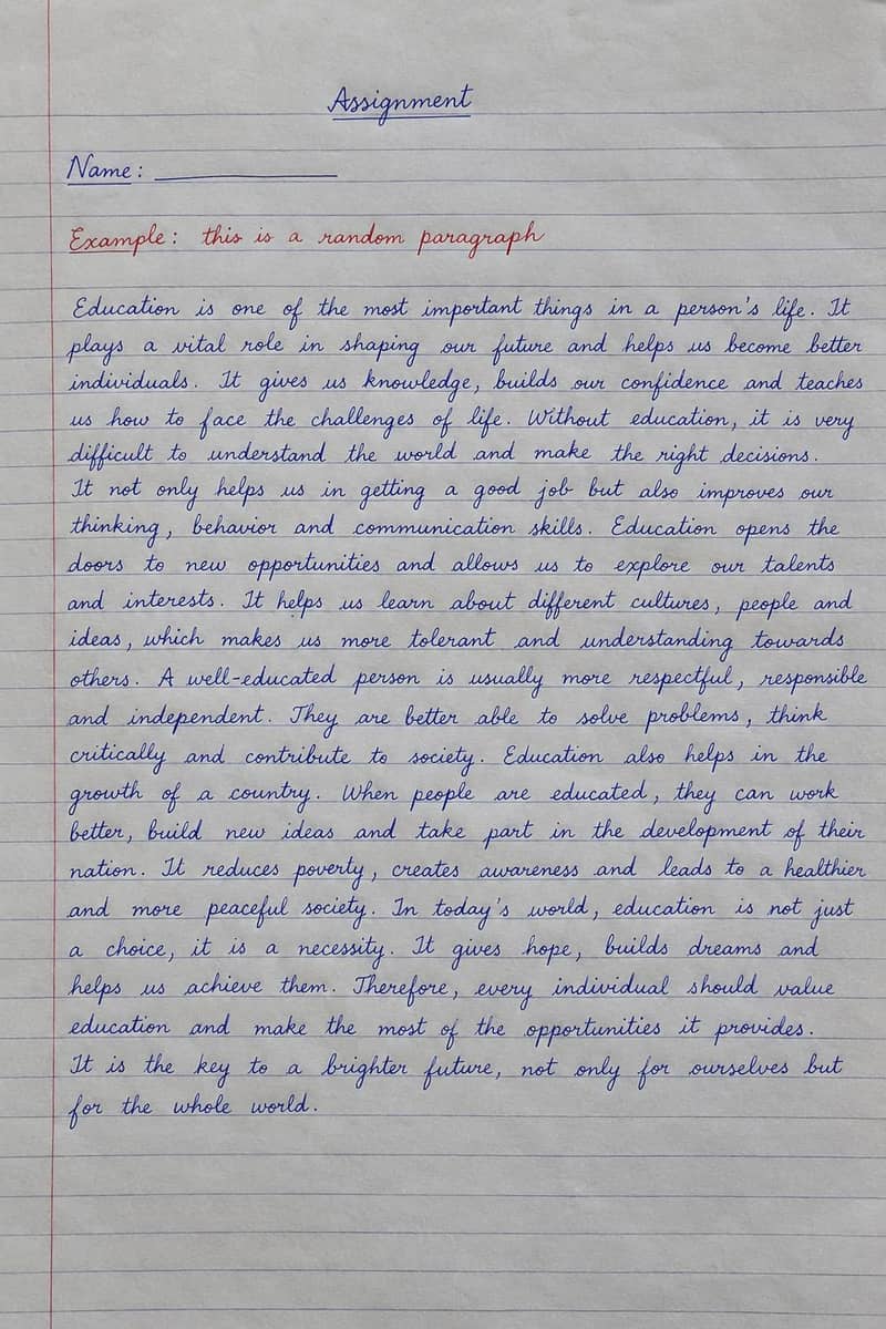 assignment writer 2