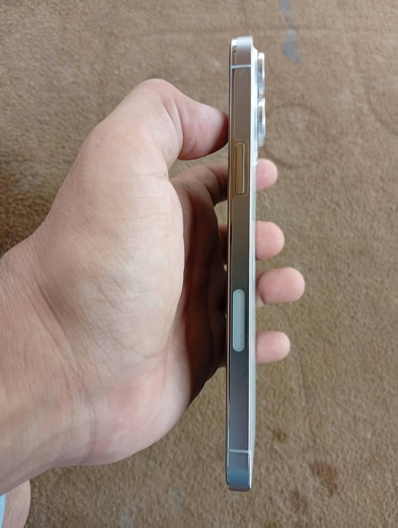 iPhone 13 Pro Max 3