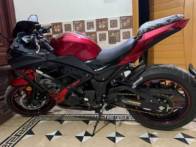 kawasaki ninja 300cc dual cylinder Full bike PPF