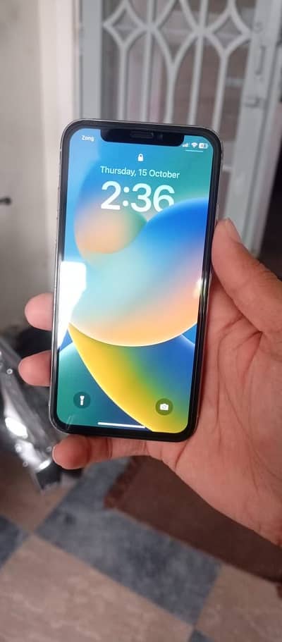 Apple iPhone X