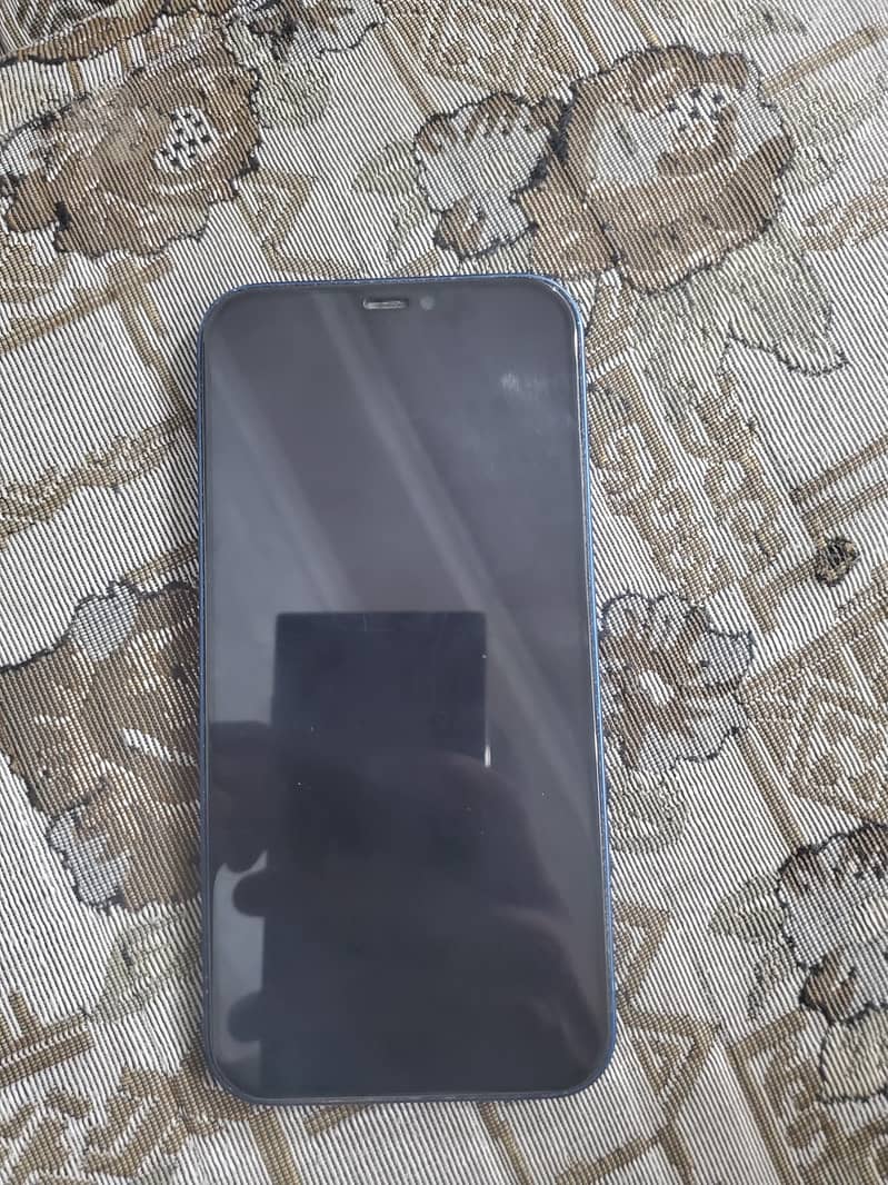 Apple iPhone 12 1