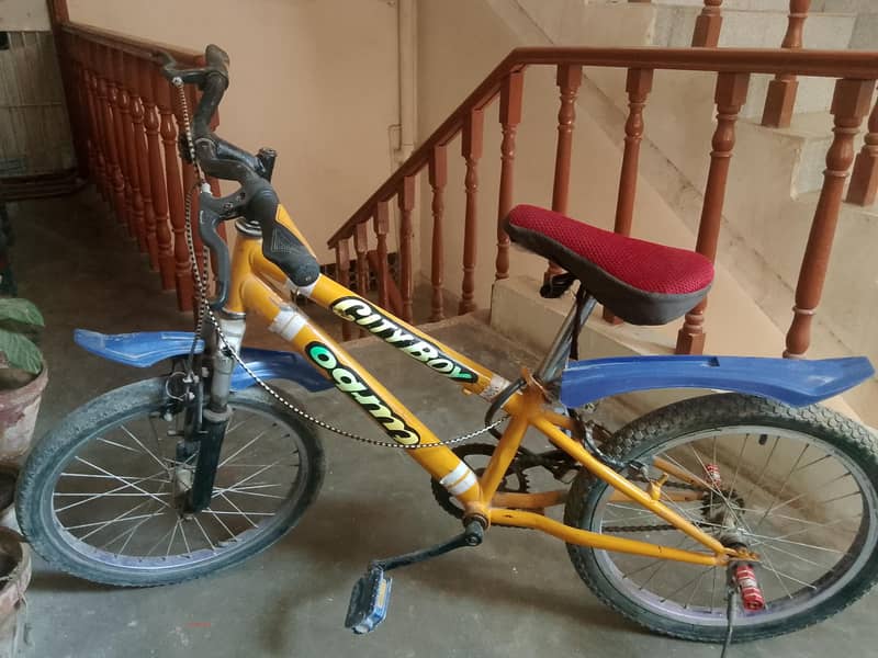 bicycle 1