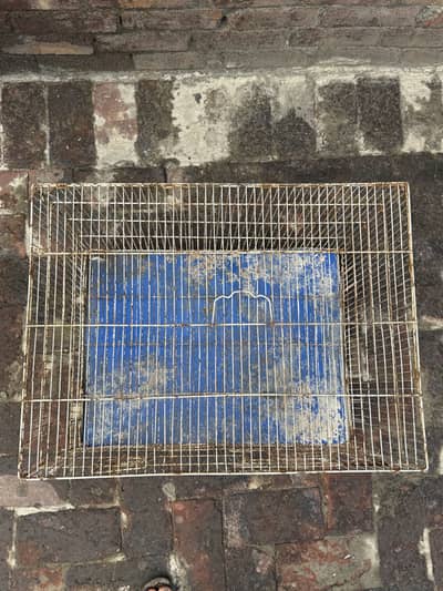 Iron pinjra sale condition 10 by 10 naet and clean