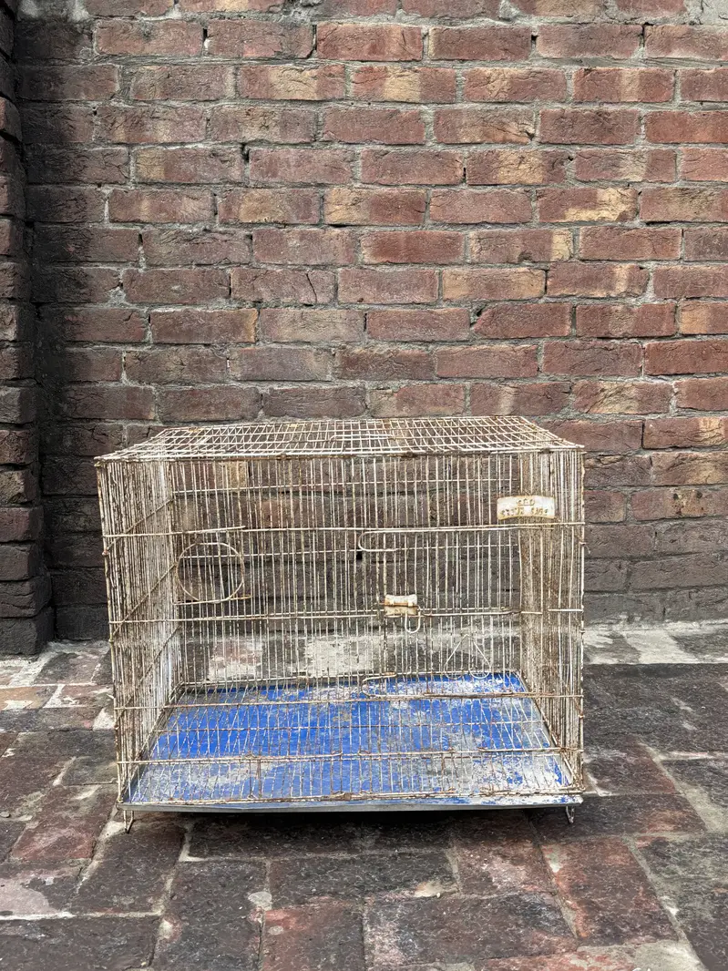 Iron pinjra sale condition 10 by 10 naet and clean — photo 3