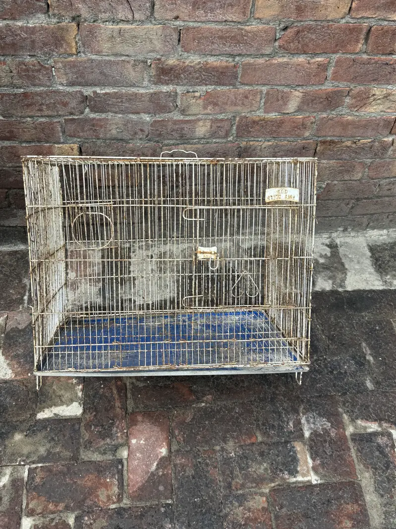 Iron pinjra sale condition 10 by 10 naet and clean — photo 4