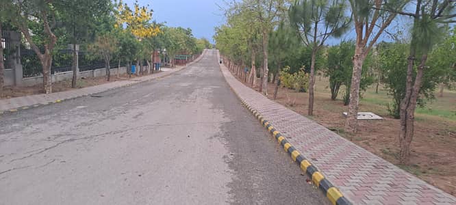 P block 10 Marla developed possession plot for Sale