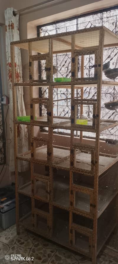 health and active bird