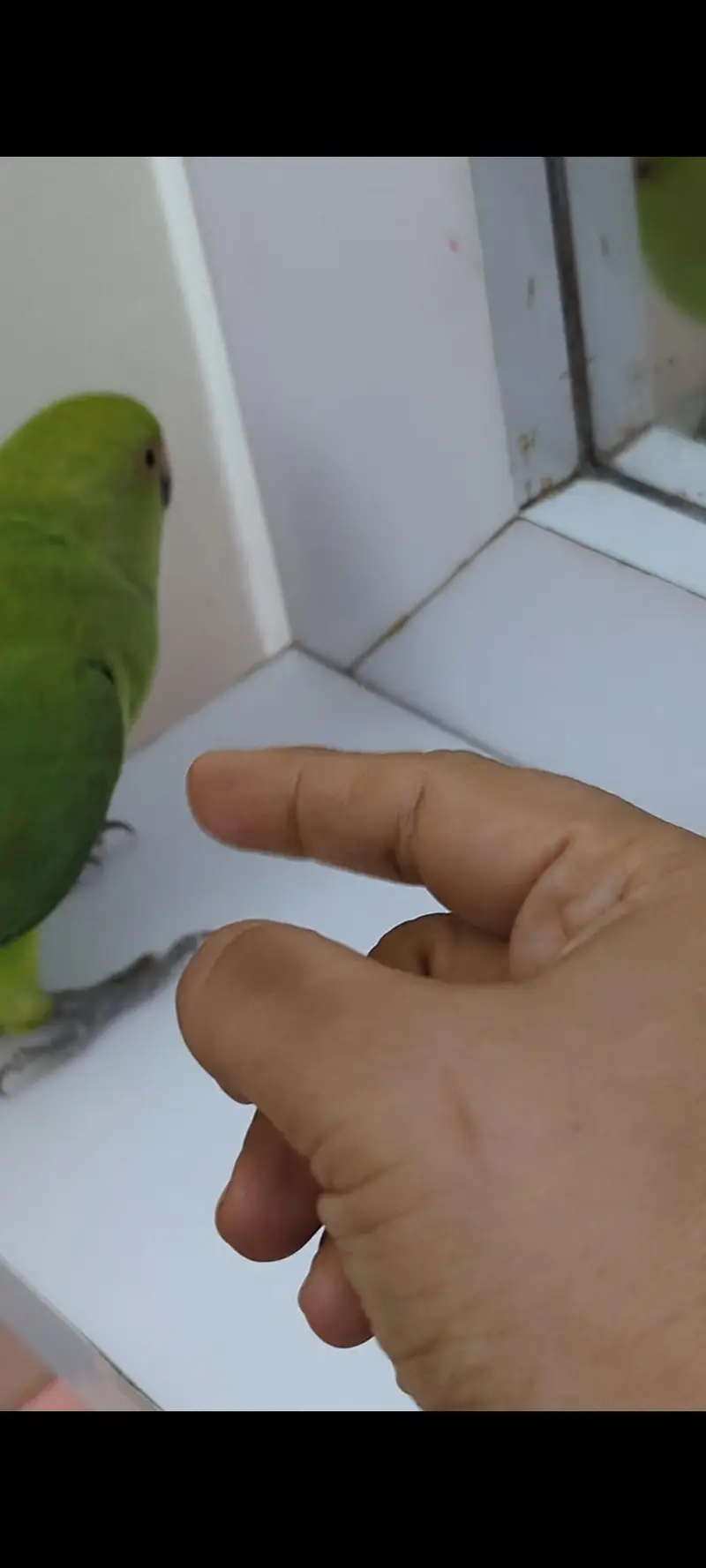 seemi handtem ringnak patha — photo 6