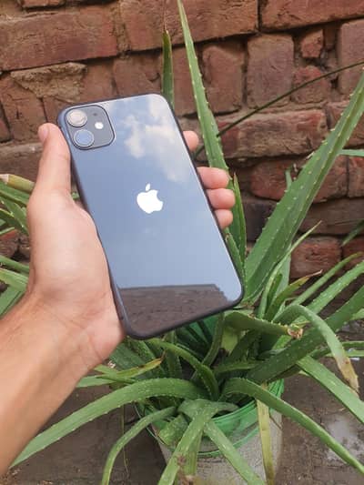Apple iPhone 11 (128GB) Exchange possible