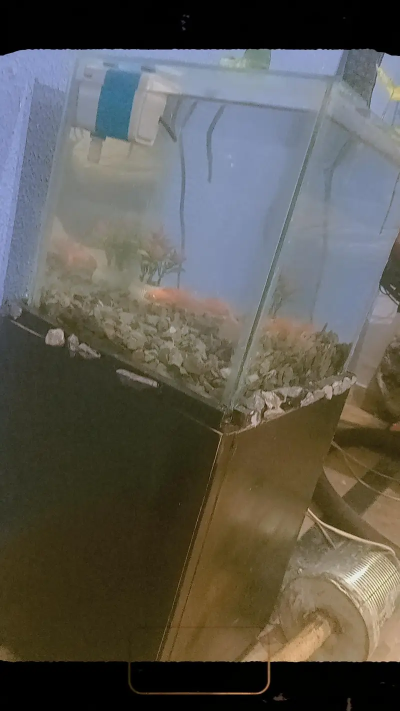 aquarium with table — photo 3