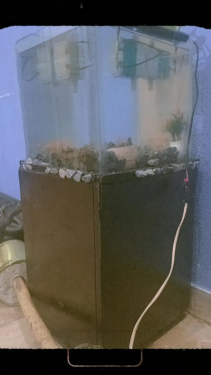aquarium with table — photo 4