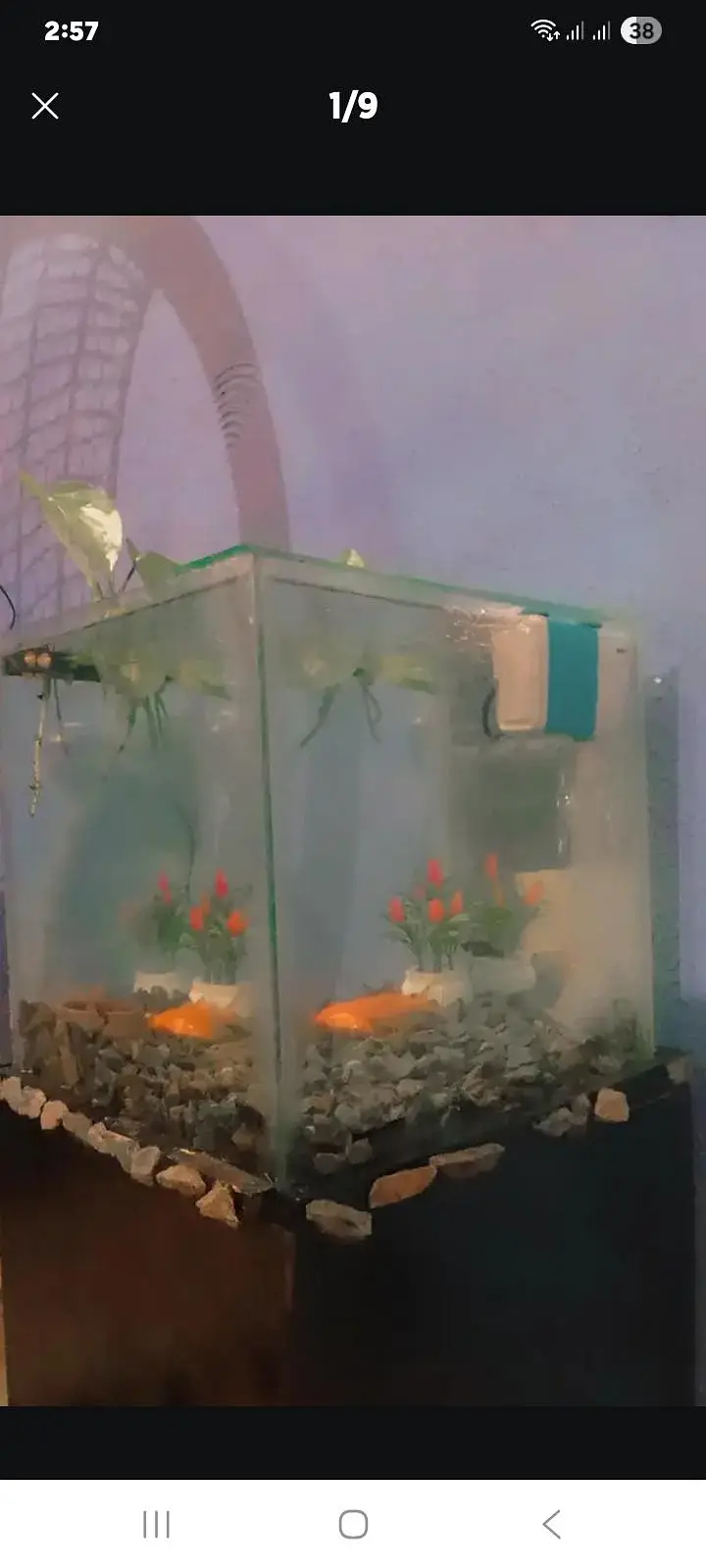 aquarium with table — photo 6