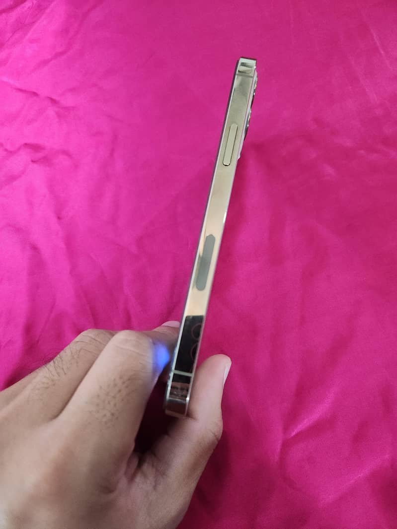 Apple iPhone 12 Pro 4