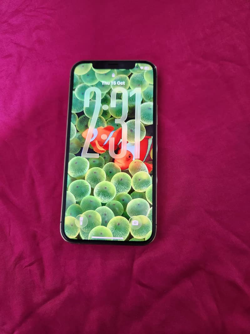 Apple iPhone 12 Pro 5